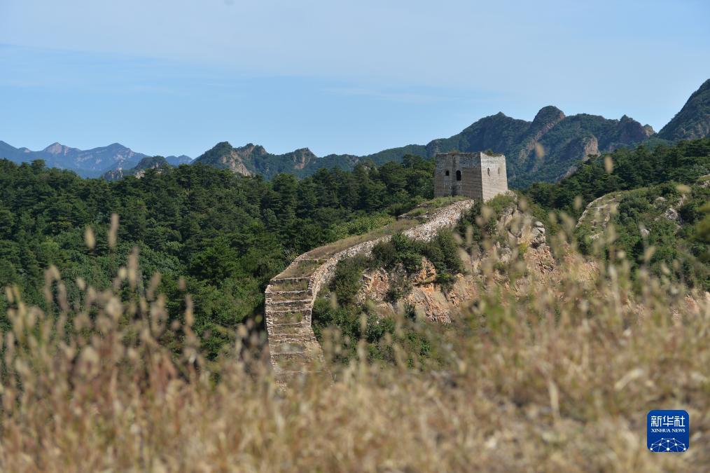 秦晋棋牌有挂吗